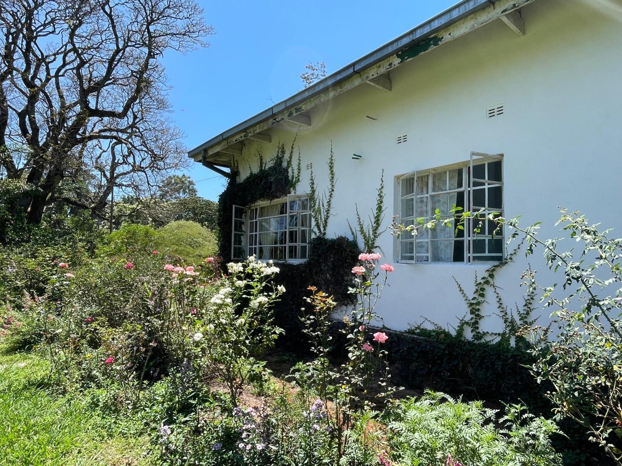 Huntingdon House And Chawani Bungalow Thyolo Exterior photo